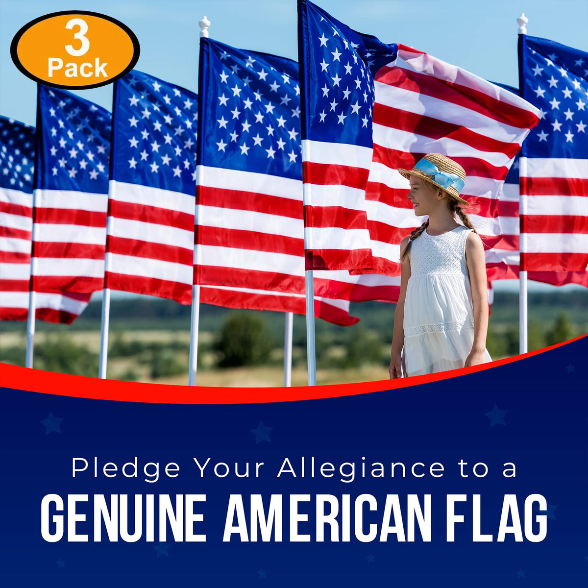 American Flags for Outside 3X5 (Pack of 10) -American Flag made in USA with Embroidered Stars and Sewn Stripes US Flag 3x5 Heavy Duty Outdoor Made in USA for High Wind- All Weather Flags Father Jim Norris notebooks