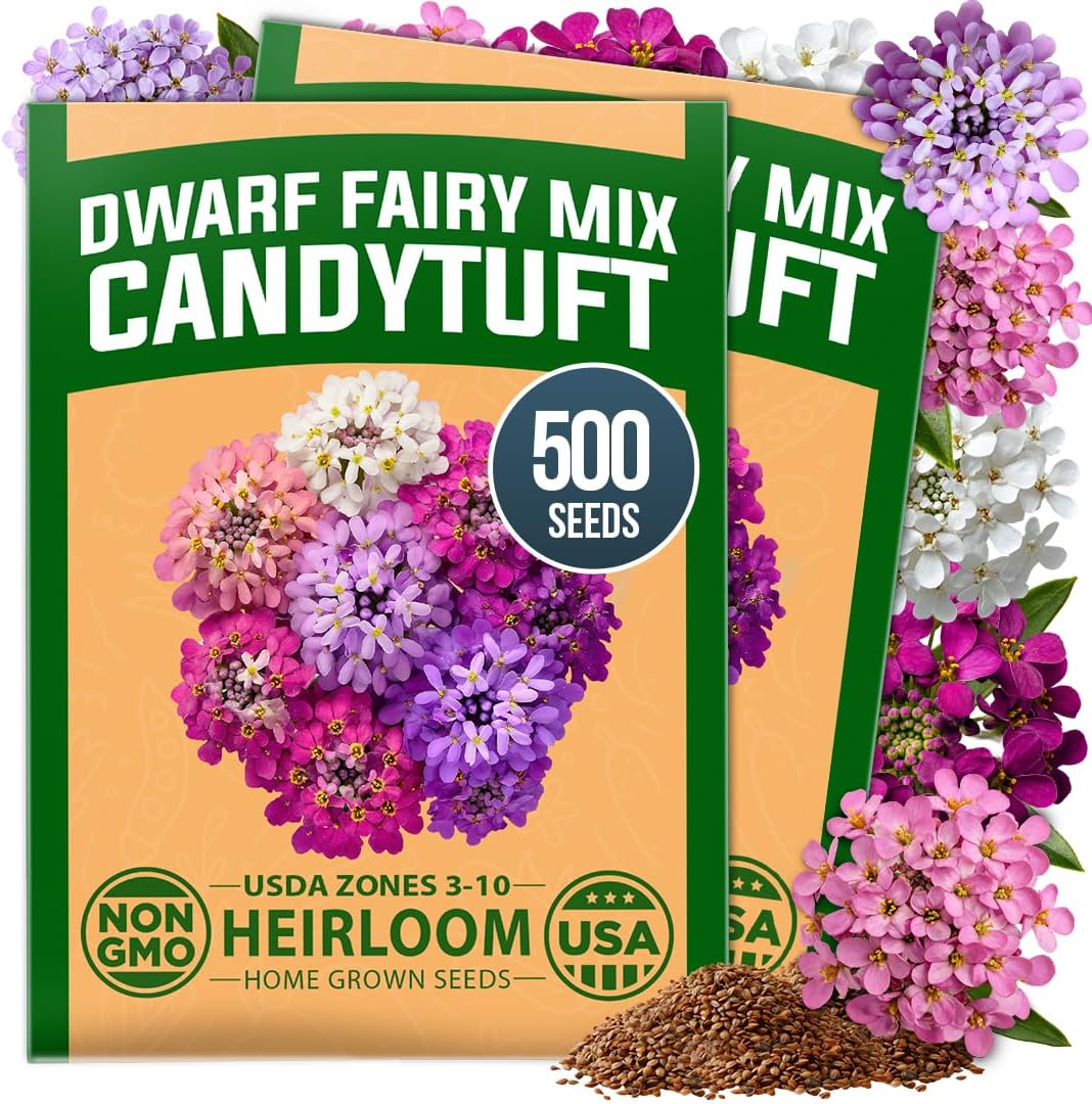 HOME GROWN 15 Herb Seed Variety Kit, 5100+ Seeds, Culinary Herb Kit Father Jim Norris notebooks