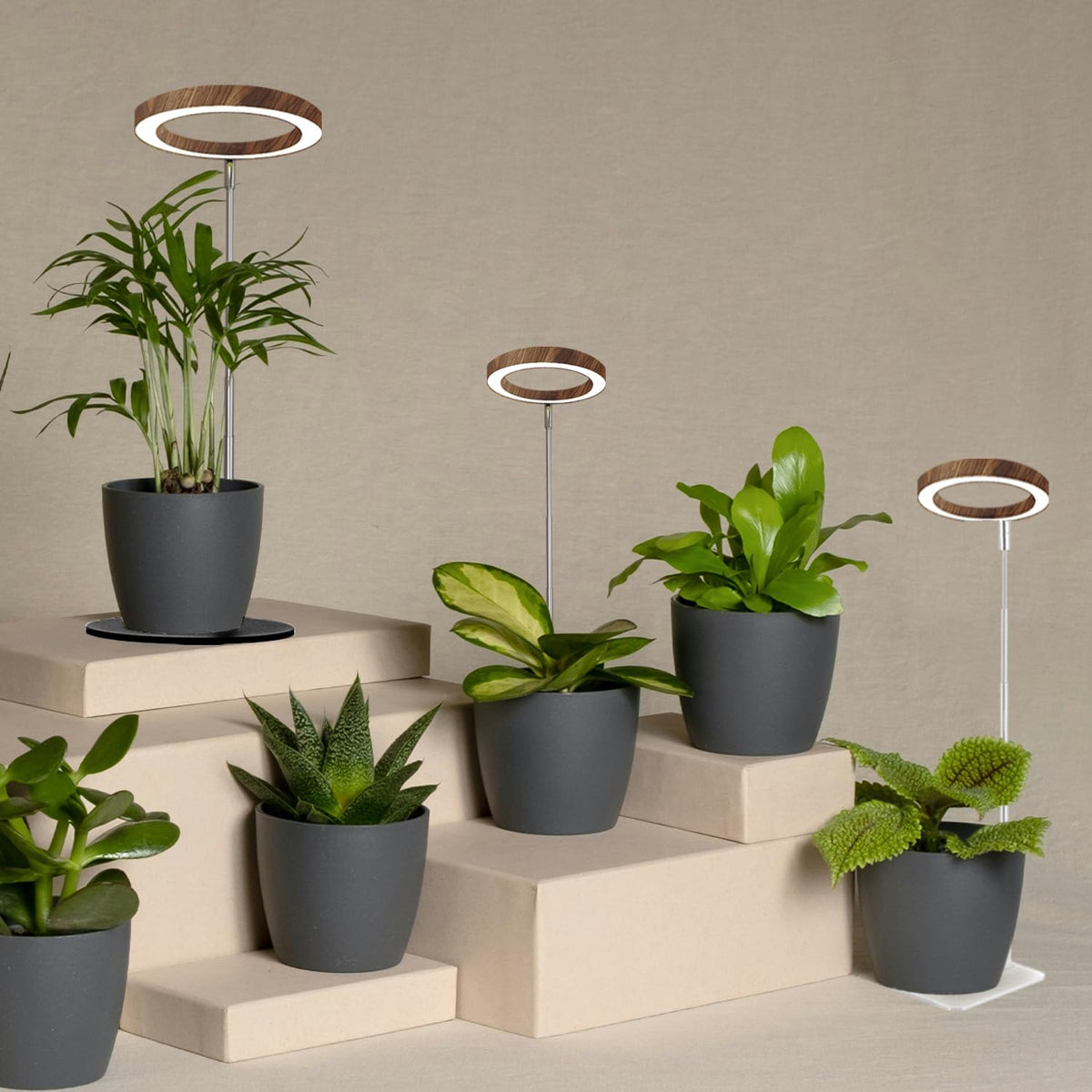 Yadoker 144 LEDs Full Spectrum Plant Grow Light for Indoor Plants,Height Adjustable, 6.3" Aluminum Housing,Automatic Timer with 8/12/16 Hours,10-Level Brightness,Black Plant Light with Base,2 Pack Father Jim Norris notebooks