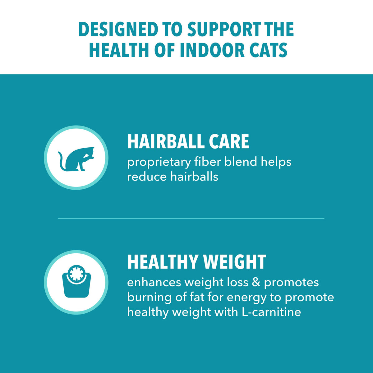 IAMS Proactive Health Indoor Dry Cat Food, Salmon, 7 lb