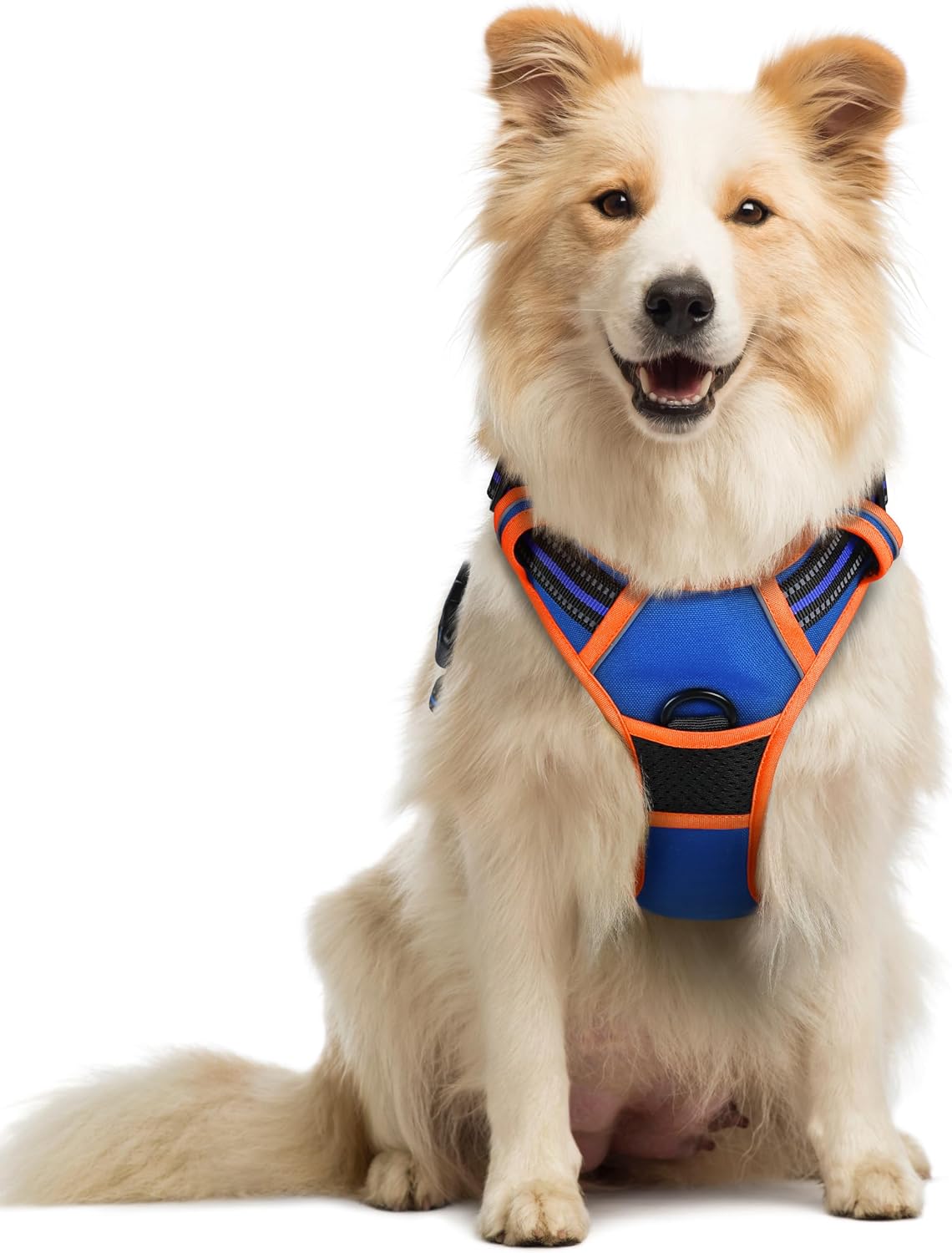 rabbitgoo Dog Harness, No Pull for Large Dogs with 2 Leash Clips, Pet Vest
