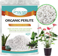 Legigo 4 Quarts Organic Perlite for Plants Indoor, Soil Mix Amendment Father Jim Norris notebooks