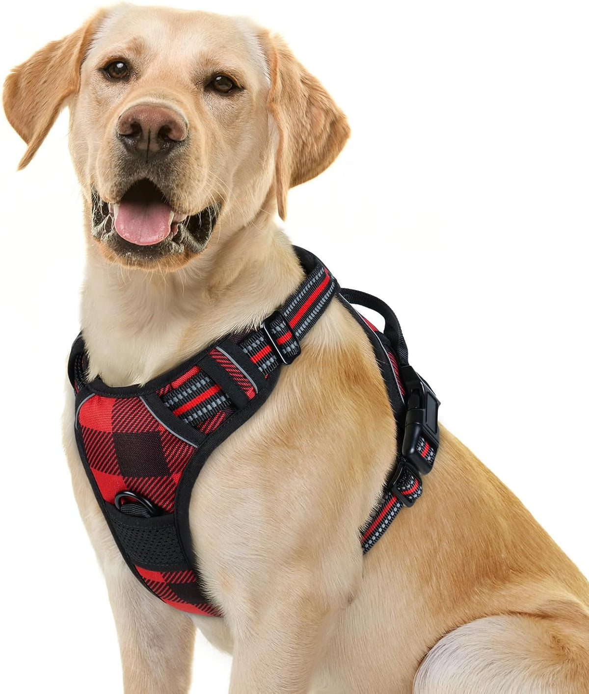rabbitgoo Dog Harness, No Pull for Large Dogs with 2 Leash Clips, Pet Vest