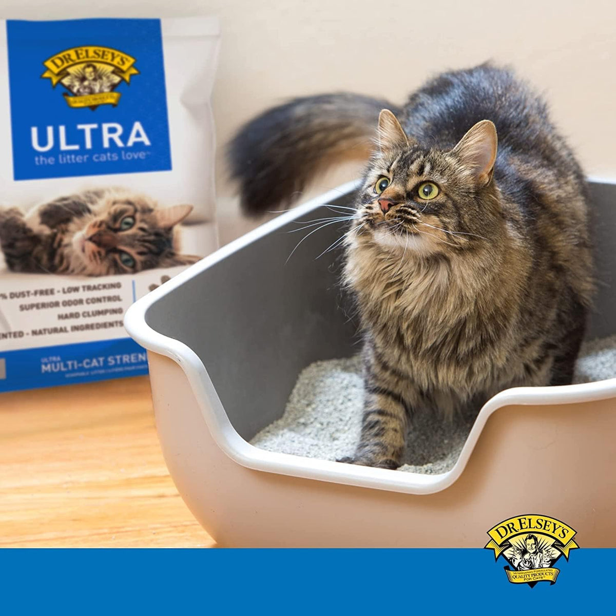 Dr. Elsey's Ultra UnScented Clumping Clay Cat Litter 40 lb. Bag Father Jim Norris notebooks