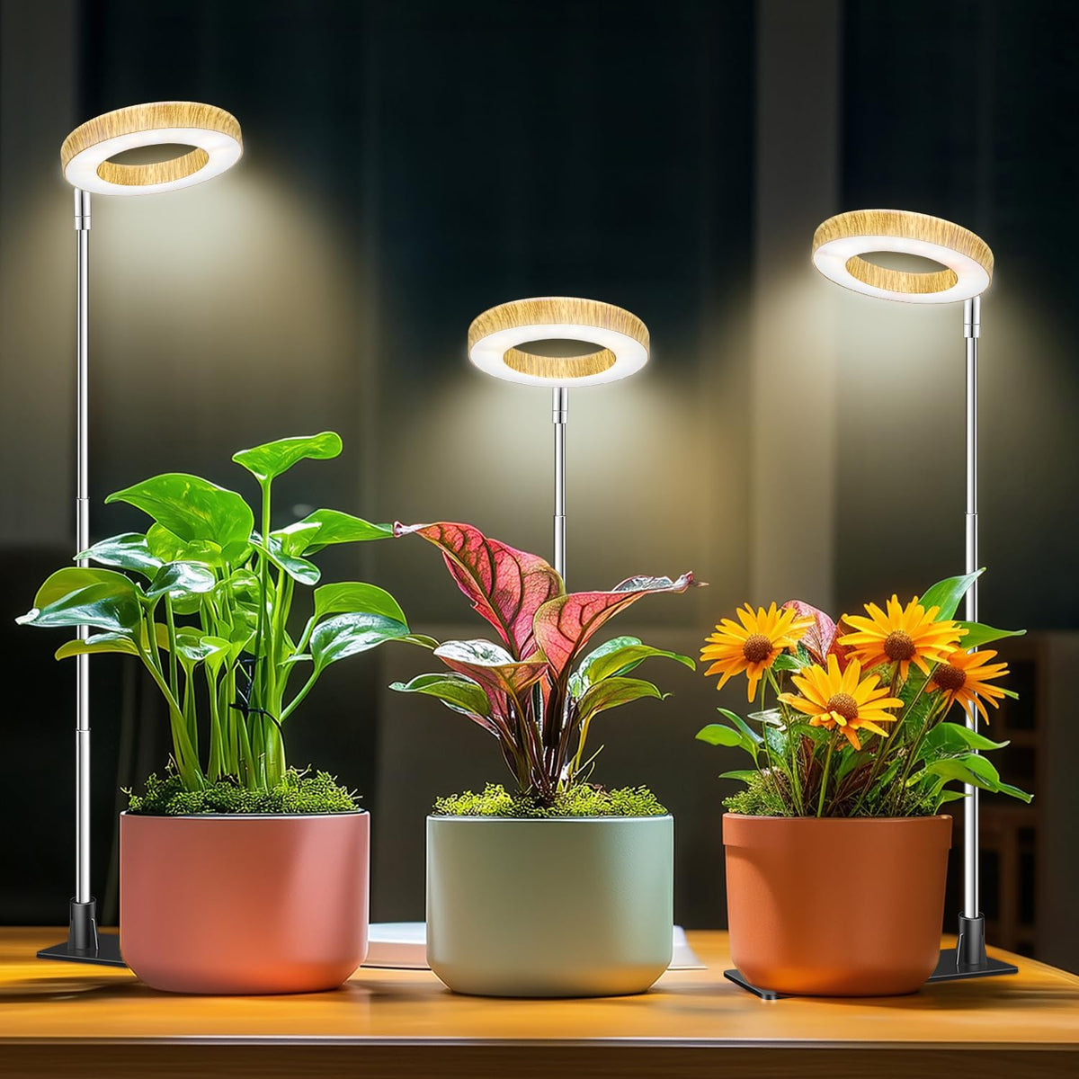 Aokrean Grow Lights for Indoor Plants Growing, Full Spectrum with Base Father Jim Norris notebooks