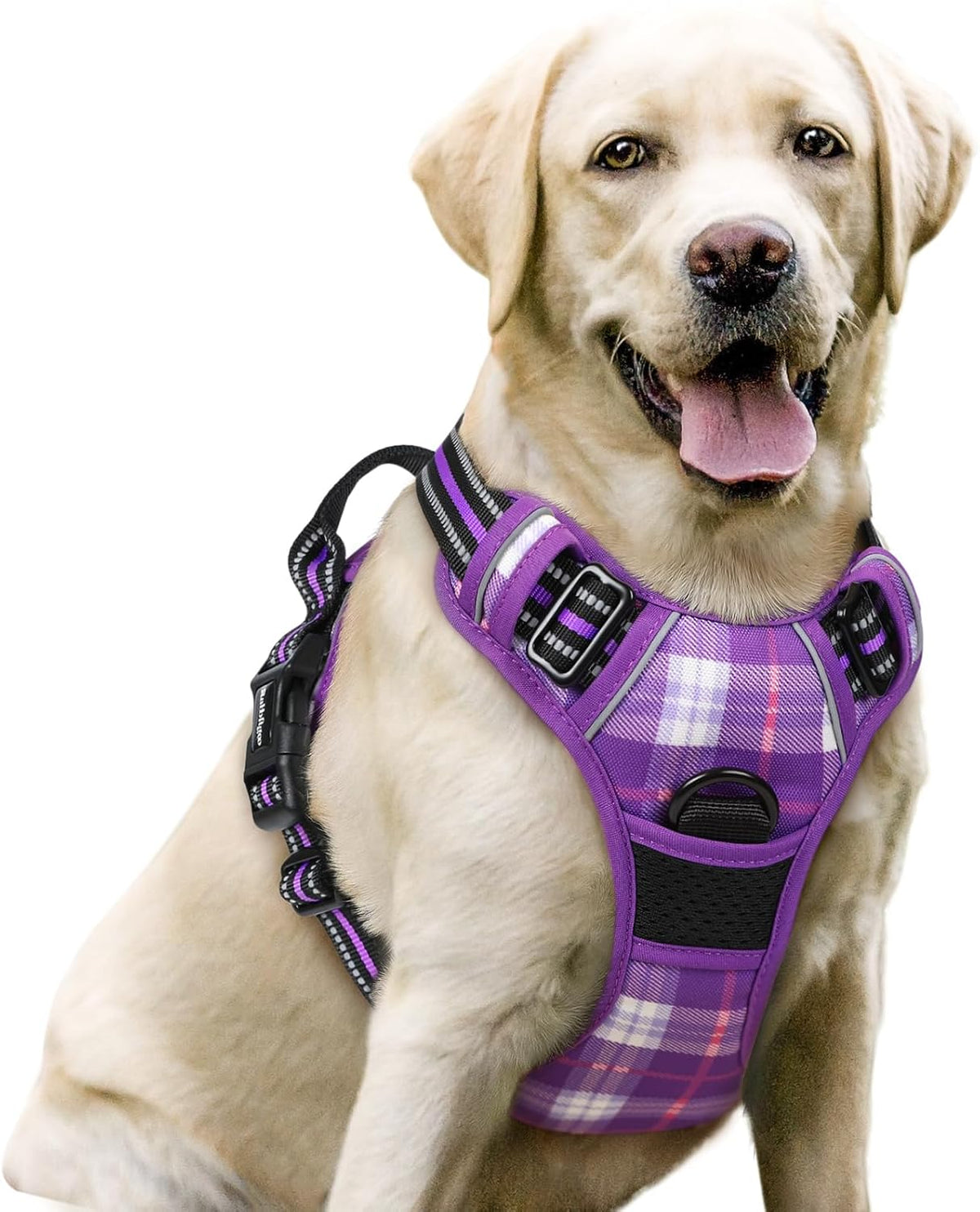 rabbitgoo Dog Harness, No Pull for Large Dogs with 2 Leash Clips, Pet Vest