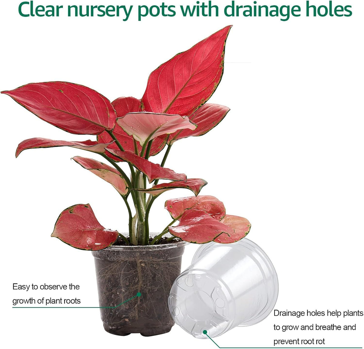 Bluepro Clear Nursery Pots with Humidity Domes, 4 Inch, 30-Pack Father Jim Norris notebooks