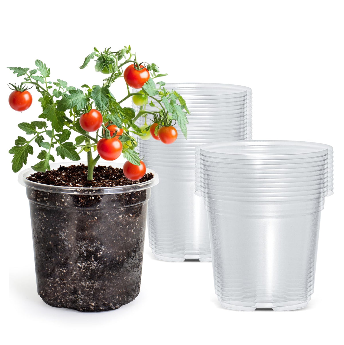Bluepro Clear Nursery Pots with Humidity Domes, 4 Inch, 30-Pack Father Jim Norris notebooks