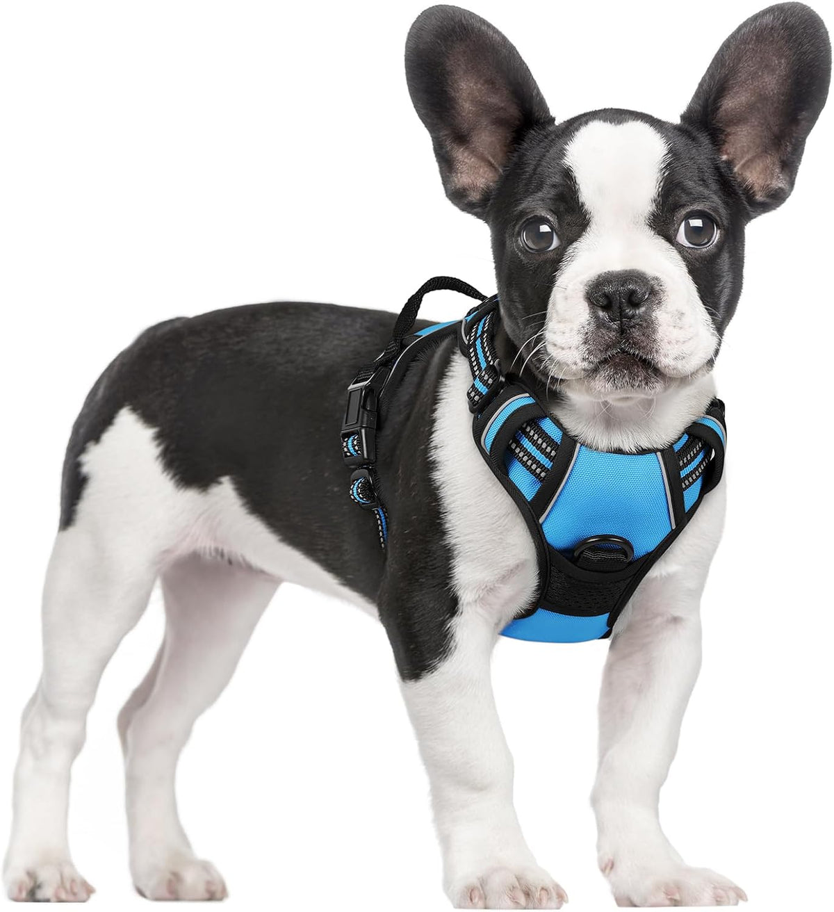 rabbitgoo Dog Harness, No Pull for Large Dogs with 2 Leash Clips, Pet Vest