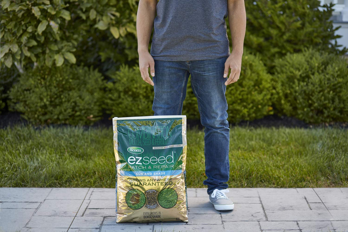 Scotts EZ Seed Patch & Repair Sun and Shade, 10 lbs. Father Jim Norris notebooks
