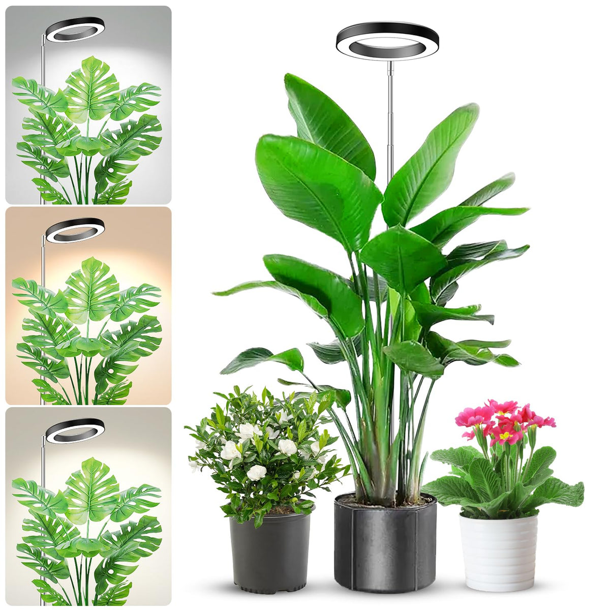 Aokrean Grow Lights for Indoor Plants Growing, Full Spectrum with Base Father Jim Norris notebooks