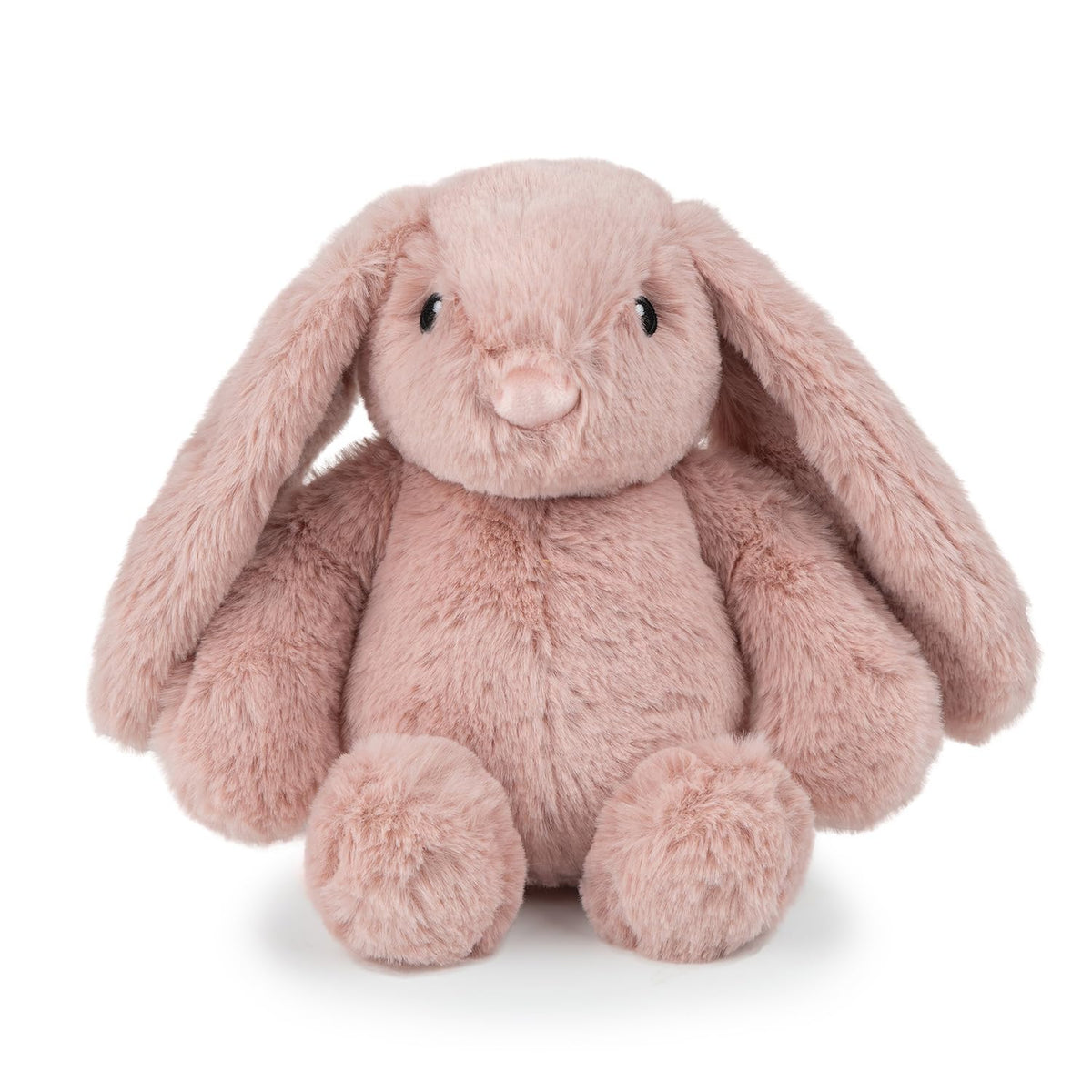 Best Pet Supplies Interactive Squeaky Dog Toy - Crinkle Duck, Blue Father Jim Norris notebooks