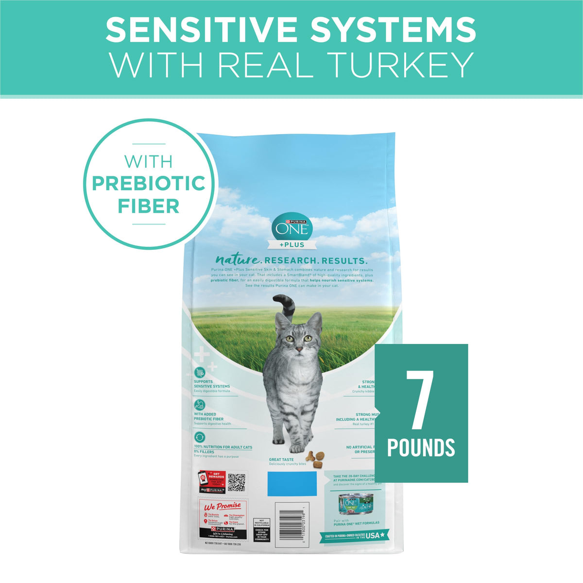Purina ONE Sensitive Skin and Stomach Dry Cat Food 16 lb Bag