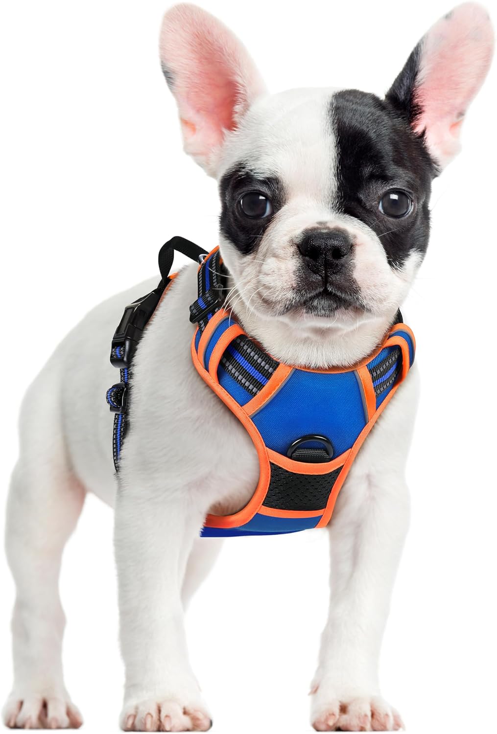 rabbitgoo Dog Harness, No Pull for Large Dogs with 2 Leash Clips, Pet Vest