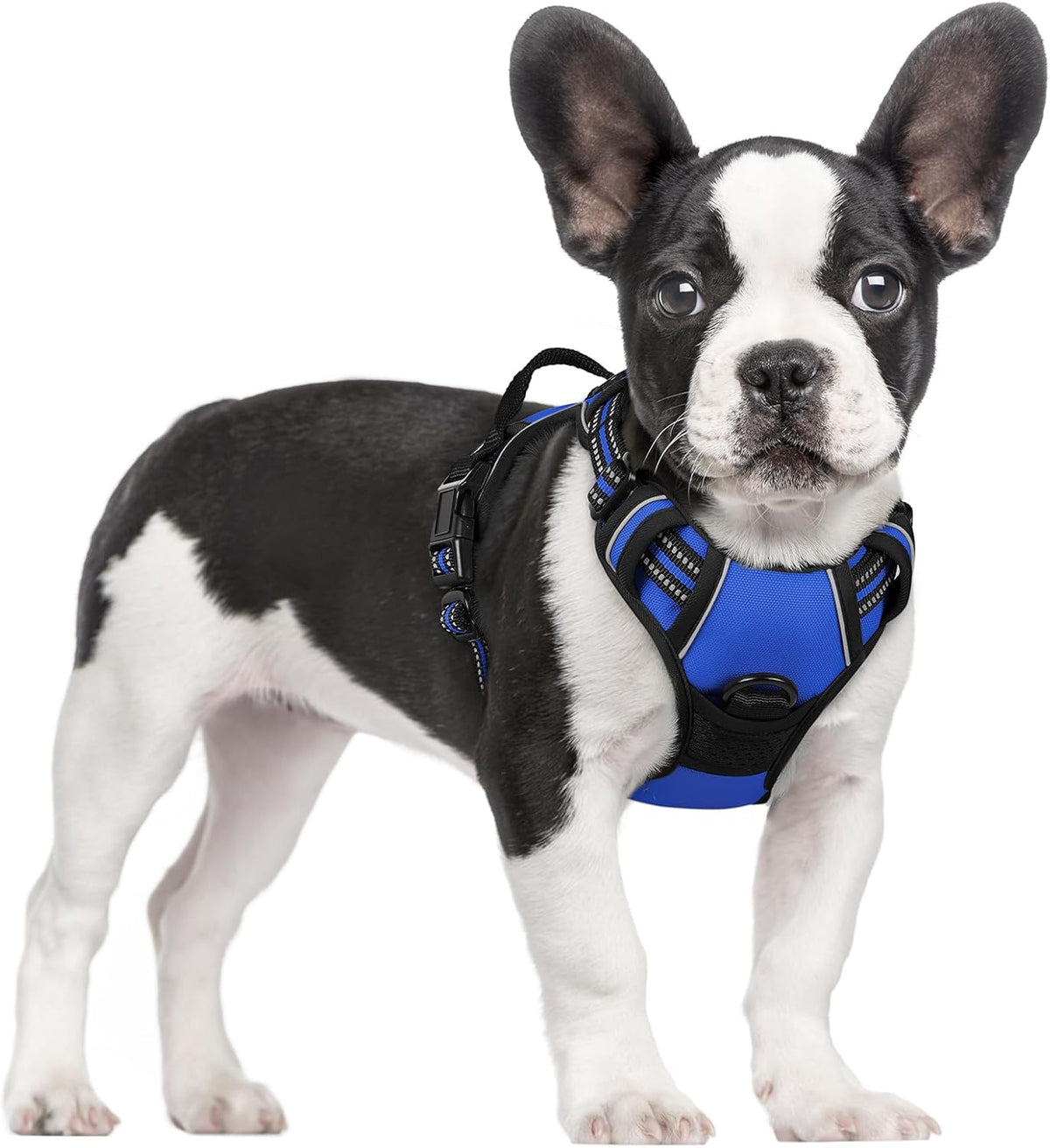 rabbitgoo Dog Harness, No Pull for Large Dogs with 2 Leash Clips, Pet Vest