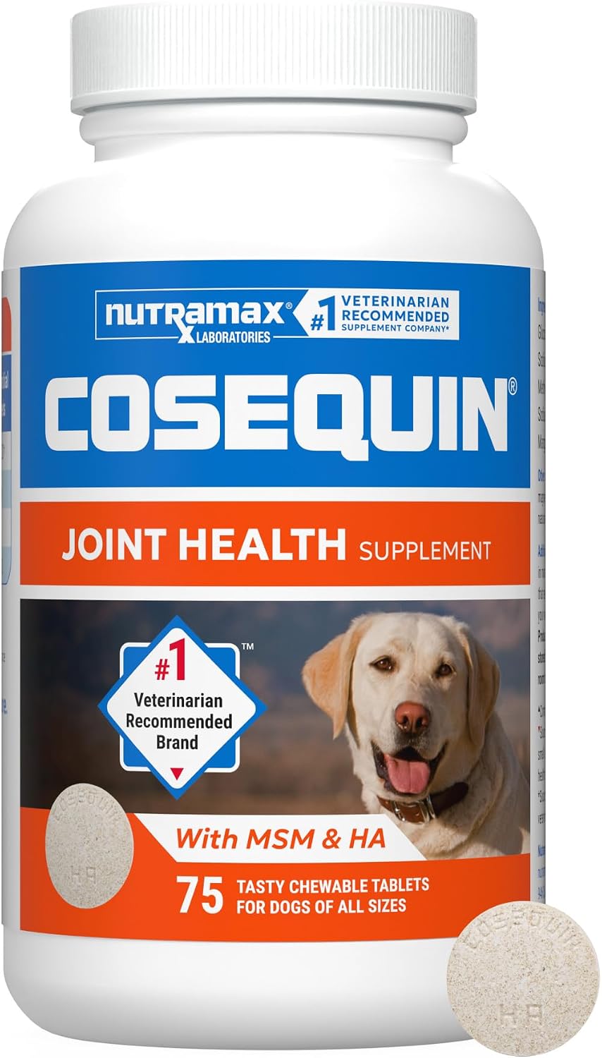 Nutramax Cosequin Joint Supplement for Dogs, Chewable Tablets, 132ct Father Jim Norris notebooks