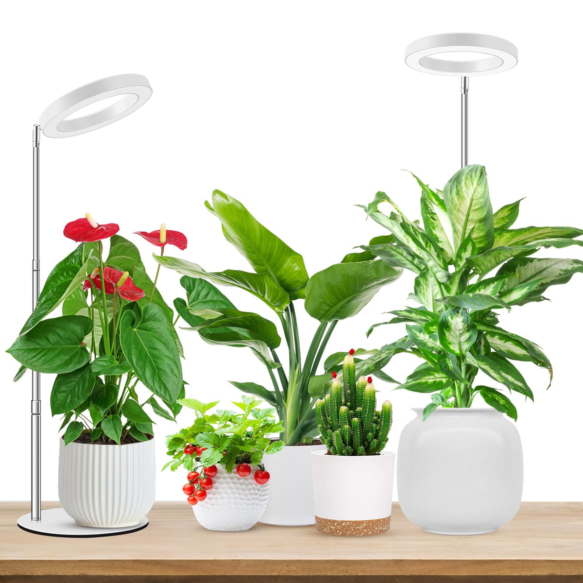 Aokrean Grow Lights for Indoor Plants Growing, Full Spectrum with Base Father Jim Norris notebooks