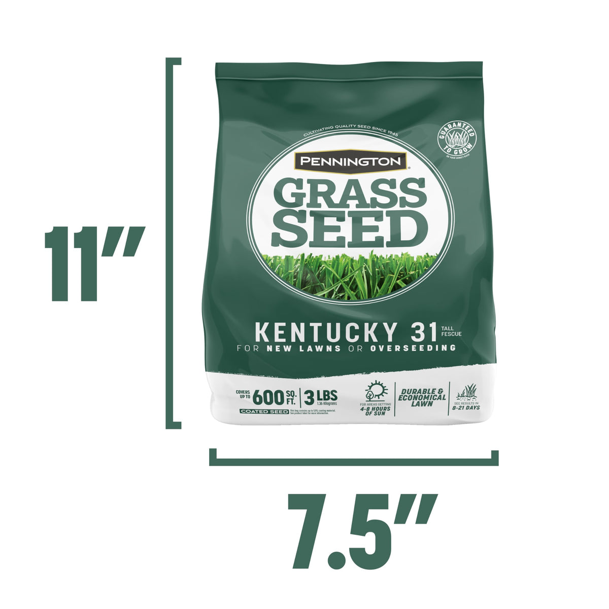 Pennington Kentucky 31 Tall Fescue Grass Seed, Drought-Resistant, 7 LB Father Jim Norris notebooks