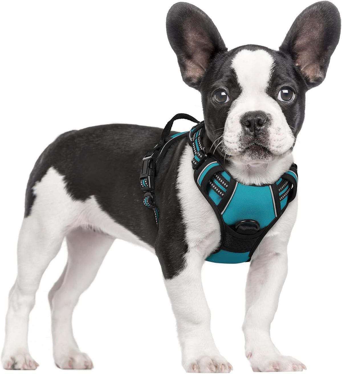 rabbitgoo Dog Harness, No Pull for Large Dogs with 2 Leash Clips, Pet Vest