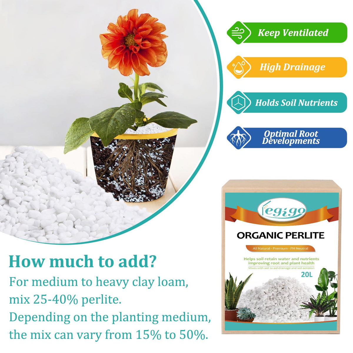 Legigo 4 Quarts Organic Perlite for Plants Indoor, Soil Mix Amendment Father Jim Norris notebooks