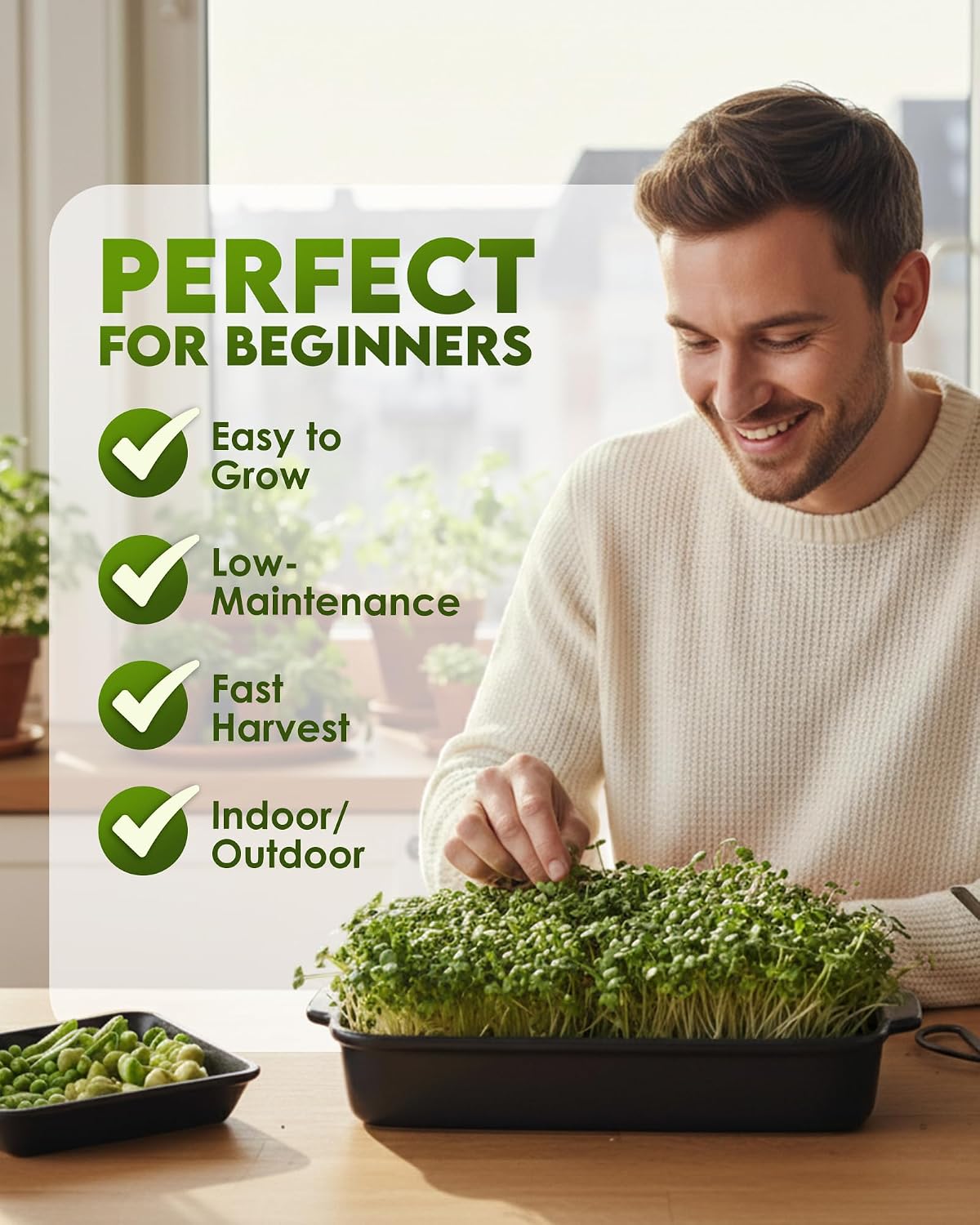 Nature Jim's Sprout Organic Broccoli Seeds – Non-GMO, Sprouting Seeds - 8oz Father Jim Norris notebooks