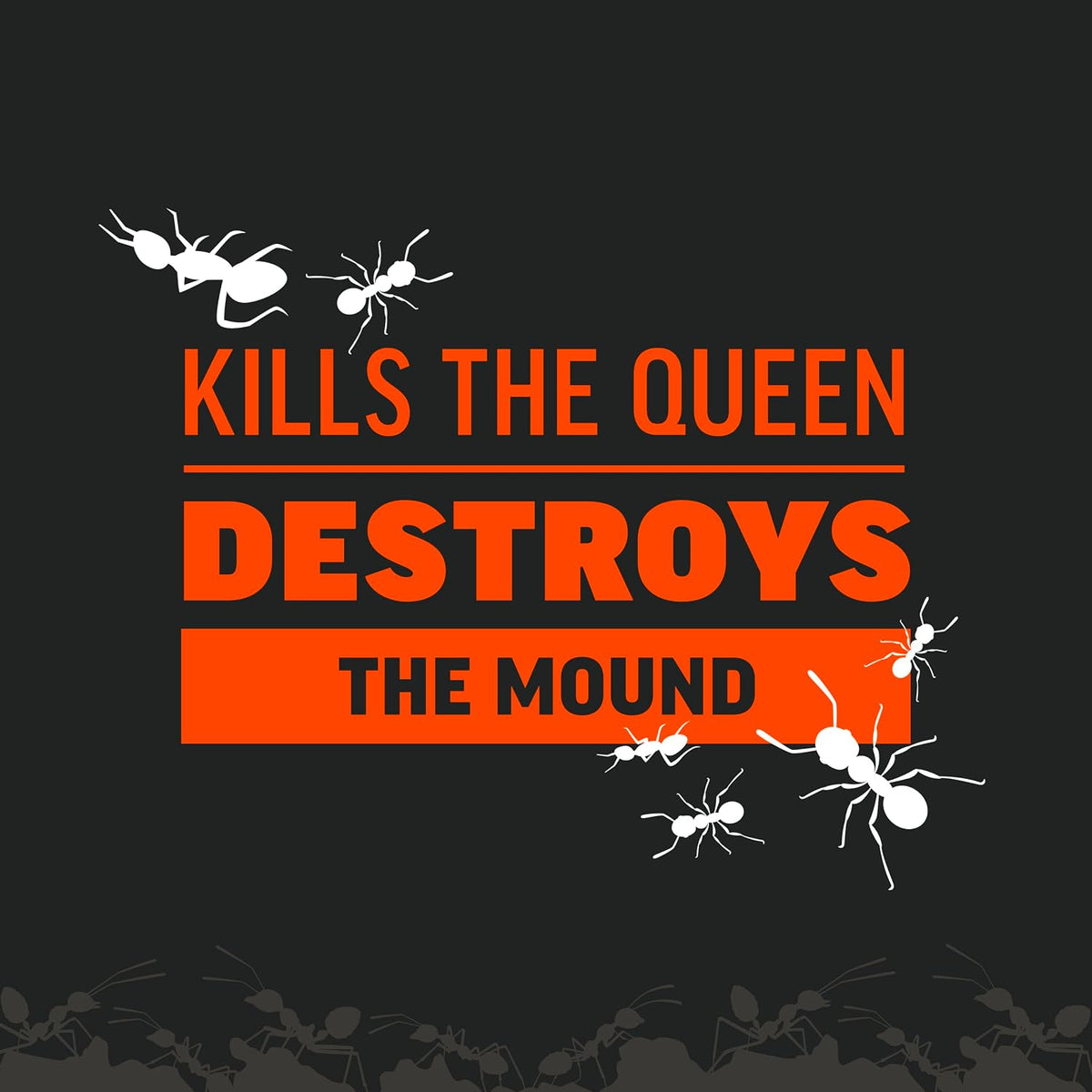 Amdro Fire Ant Killer for Mounds, 1 Lb Father Jim Norris notebooks