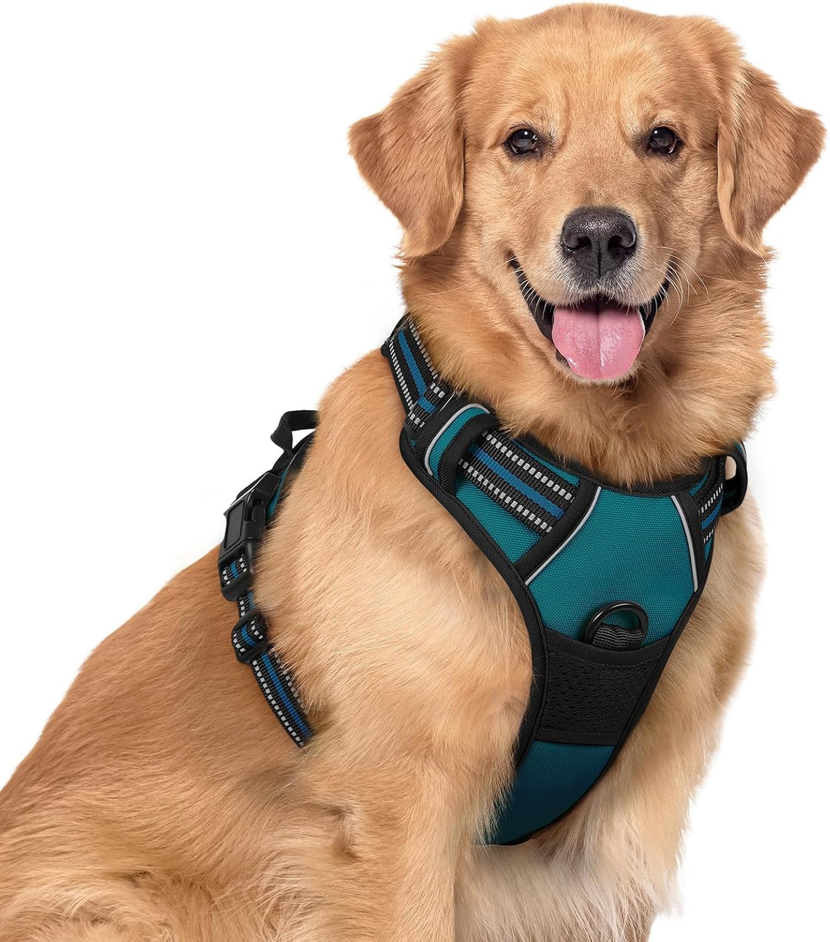 rabbitgoo Dog Harness, No Pull for Large Dogs with 2 Leash Clips, Pet Vest