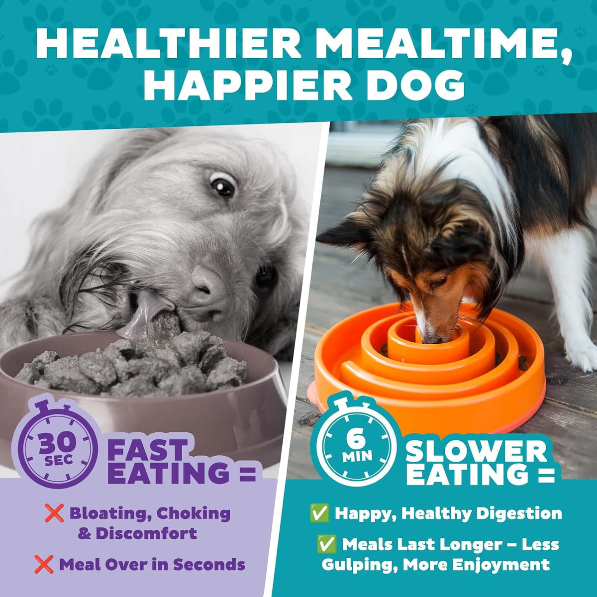 Outward Hound Fun Feeder Slo Bowl Dog Slow Feeder, Notch, Blue, 8.8"