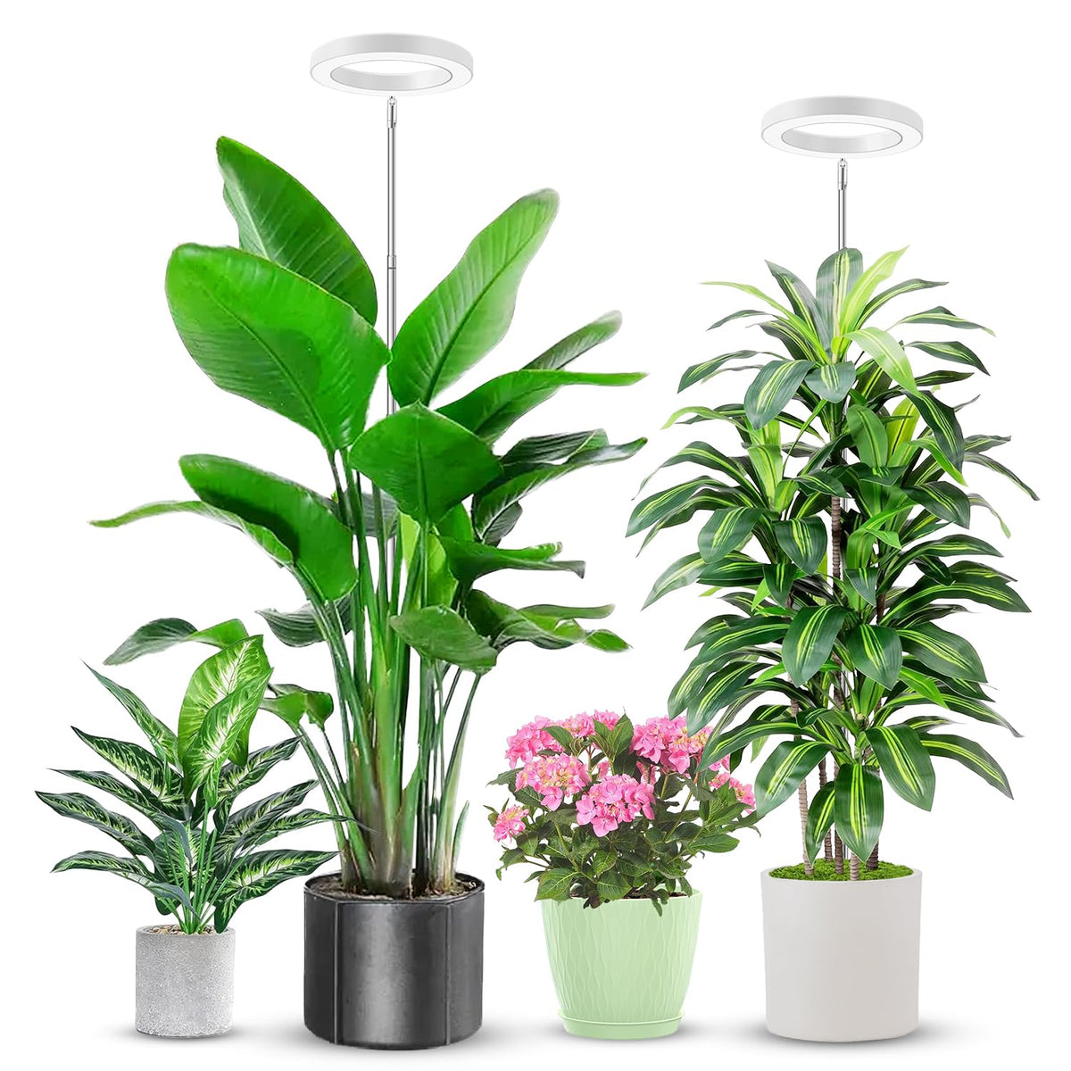 Aokrean Grow Lights for Indoor Plants Growing, Full Spectrum with Base Father Jim Norris notebooks