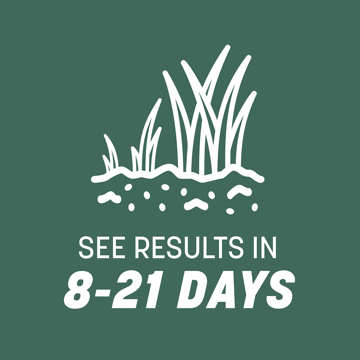 Pennington Kentucky 31 Tall Fescue Grass Seed, Drought-Resistant, 7 LB Father Jim Norris notebooks