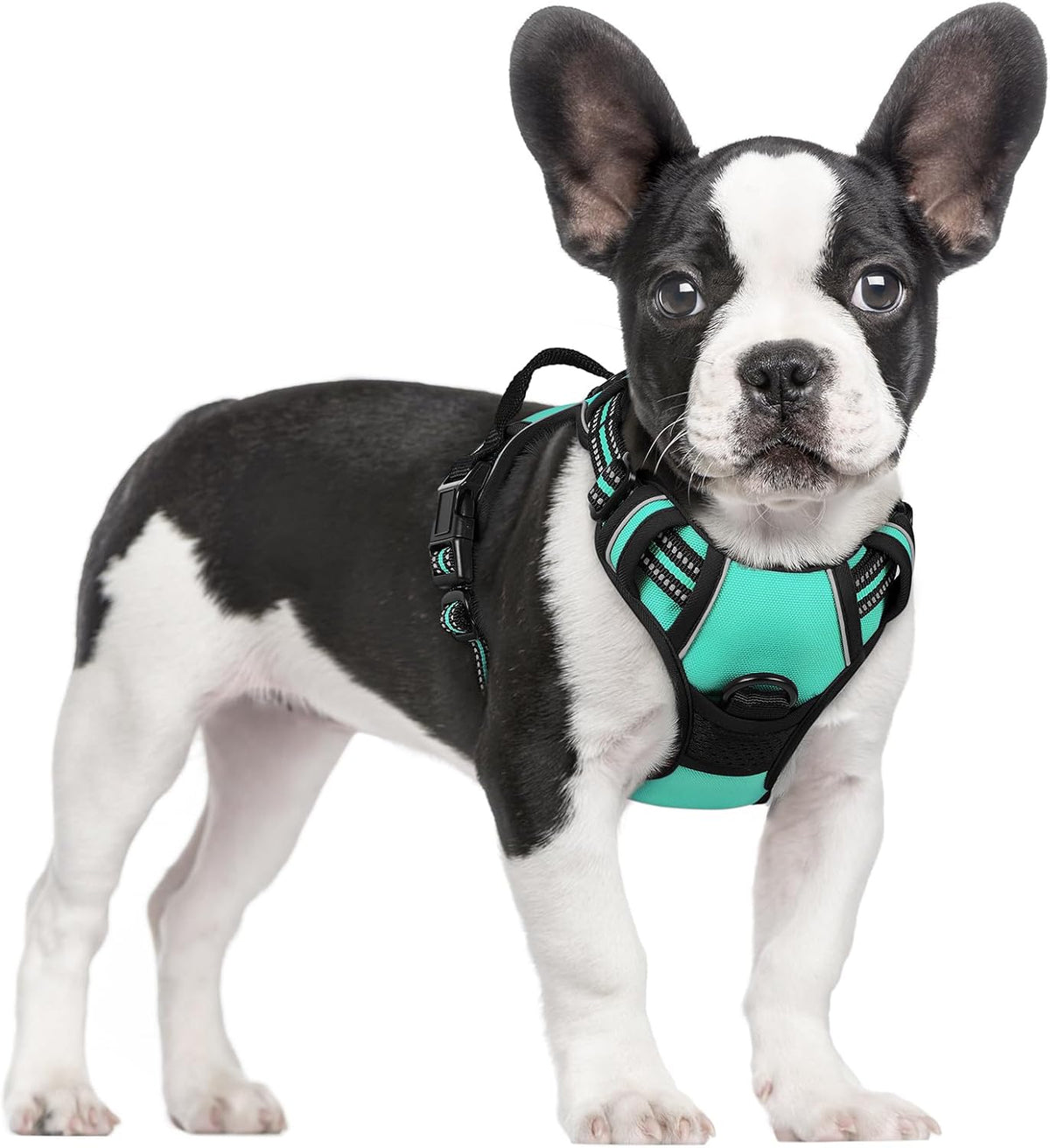 rabbitgoo Dog Harness, No Pull for Large Dogs with 2 Leash Clips, Pet Vest