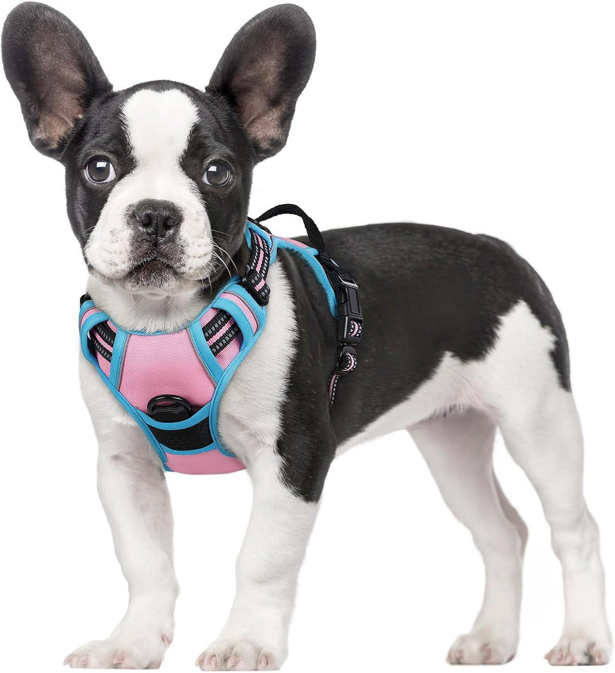 rabbitgoo Dog Harness, No Pull for Large Dogs with 2 Leash Clips, Pet Vest