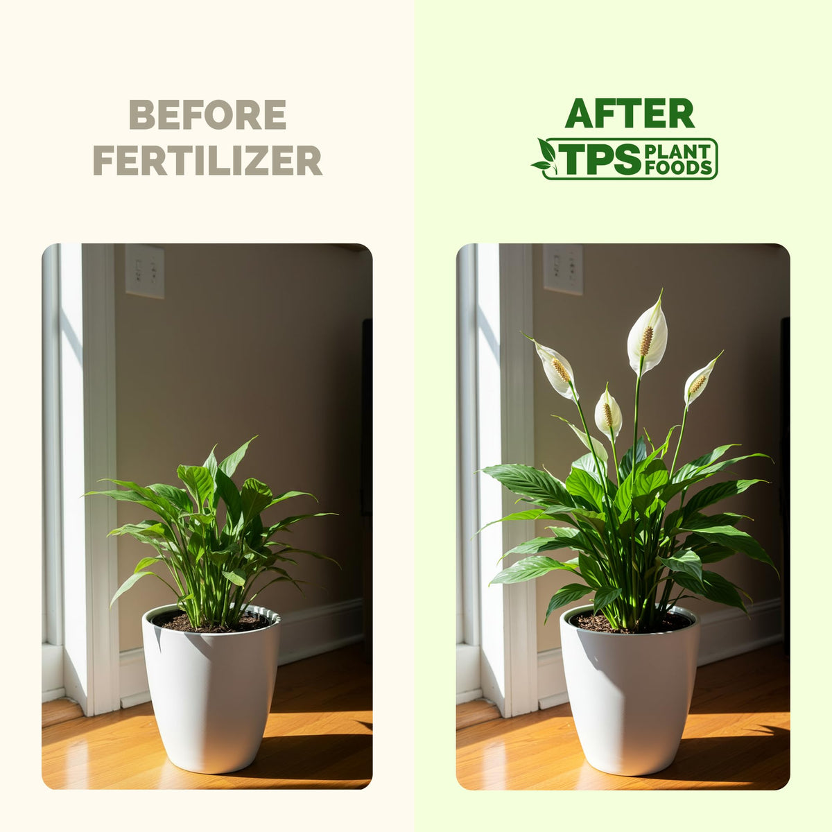 Lemon Tree Fertilizer – Liquid Plant Food for Healthy Growth & Blooms, 8 oz Father Jim Norris notebooks