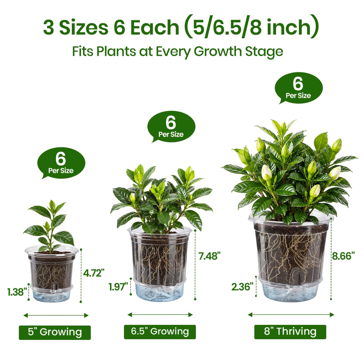 Bluepro Clear Nursery Pots with Humidity Domes, 4 Inch, 30-Pack Father Jim Norris notebooks