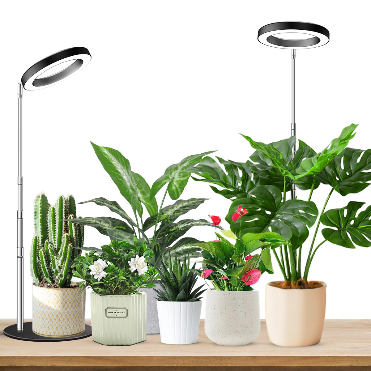 Aokrean Grow Lights for Indoor Plants Growing, Full Spectrum with Base Father Jim Norris notebooks
