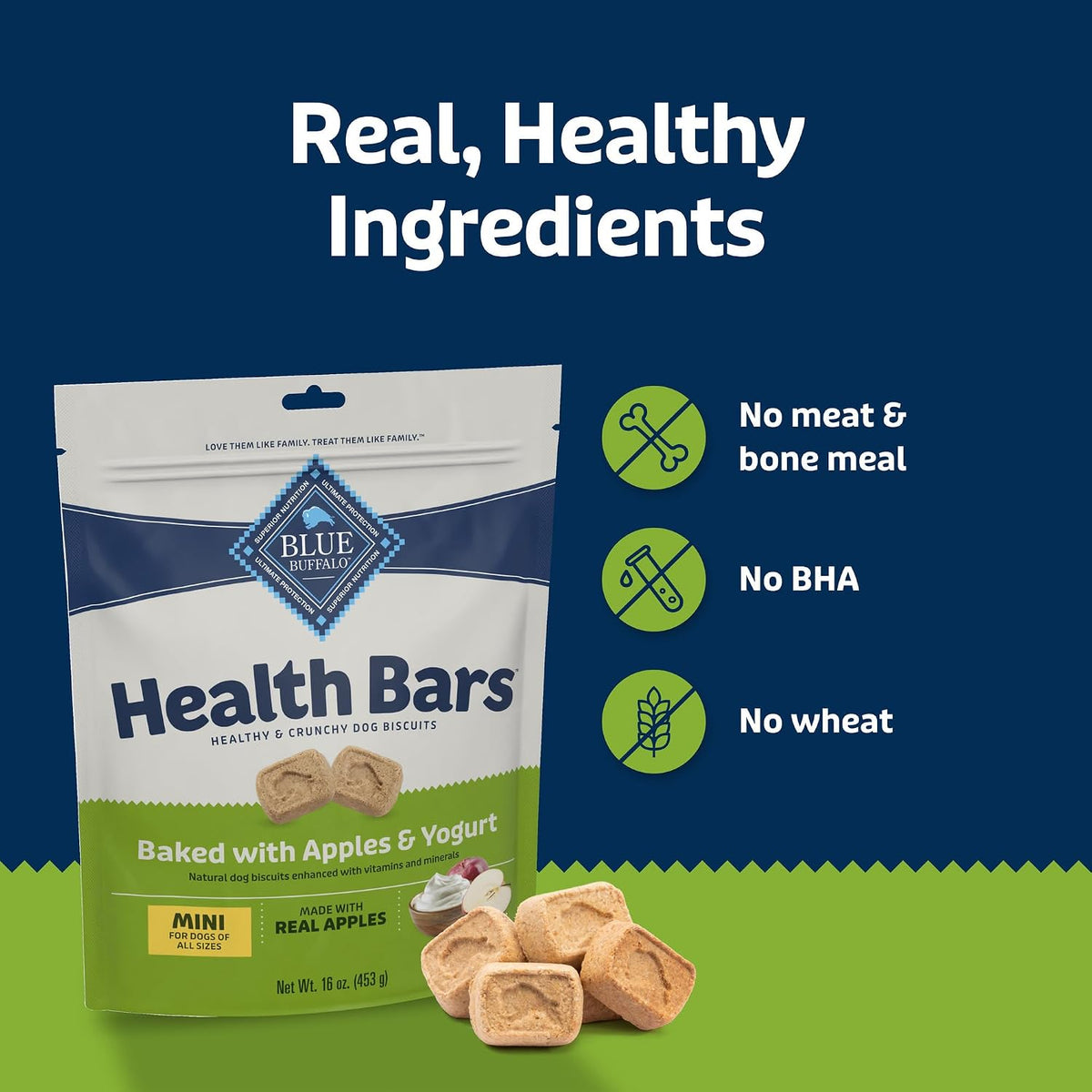 Blue Buffalo Health Bars Pumpkin & Cinnamon Dog Biscuits, 16 oz Father Jim Norris notebooks