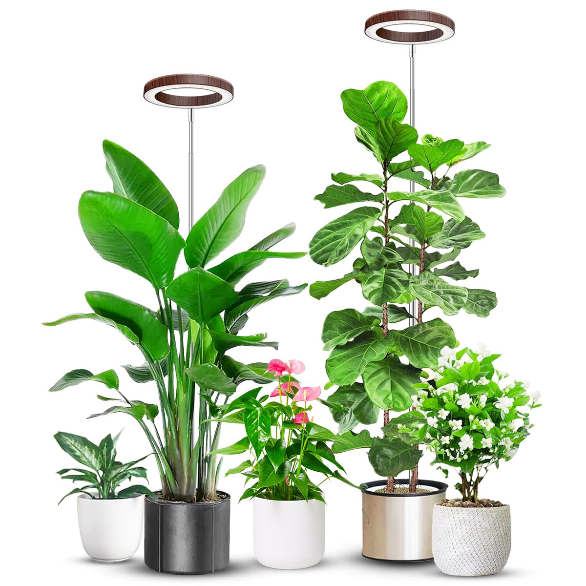 Aokrean Grow Lights for Indoor Plants Growing, Full Spectrum with Base Father Jim Norris notebooks
