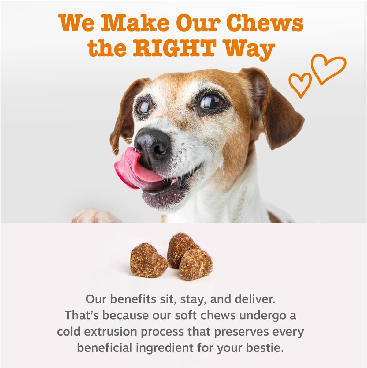 Zesty Paws Dog Allergy Chews - Dog Allergy Relief, Lamb, 90 Ct Father Jim Norris notebooks