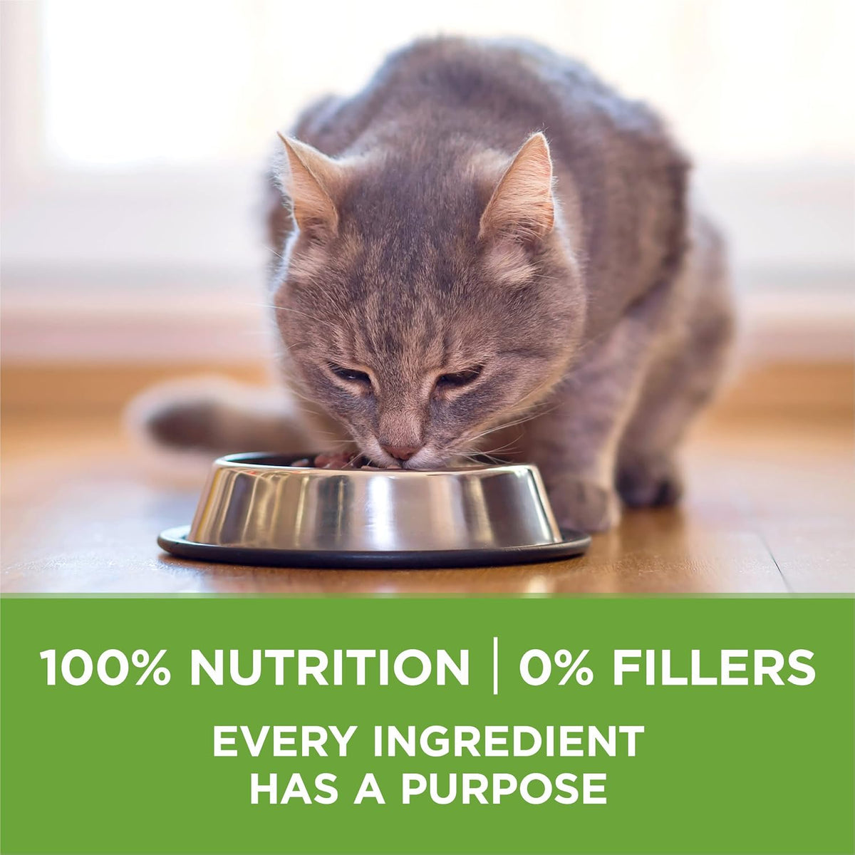 Purina ONE Natural Indoor Dry Cat Food, +Plus Indoor Advantage