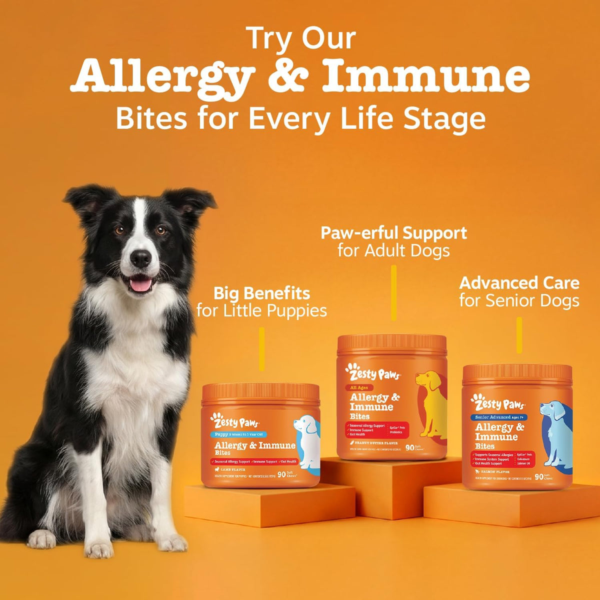 Zesty Paws Dog Allergy Chews - Dog Allergy Relief, Lamb, 90 Ct Father Jim Norris notebooks