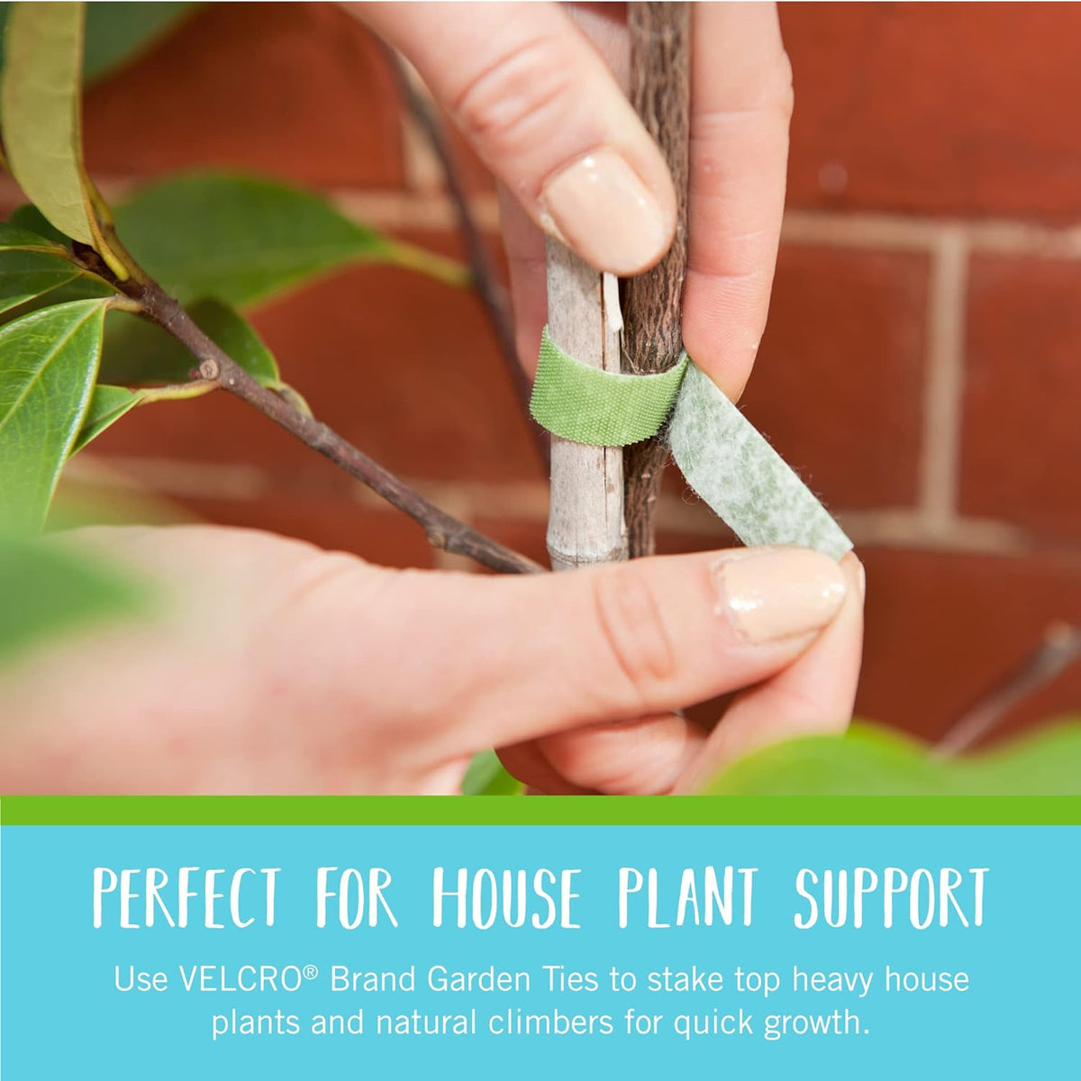 VELCRO Brand Adjustable Plant Ties, Green Garden Tape, 75 ft x 1/2 in Father Jim Norris notebooks