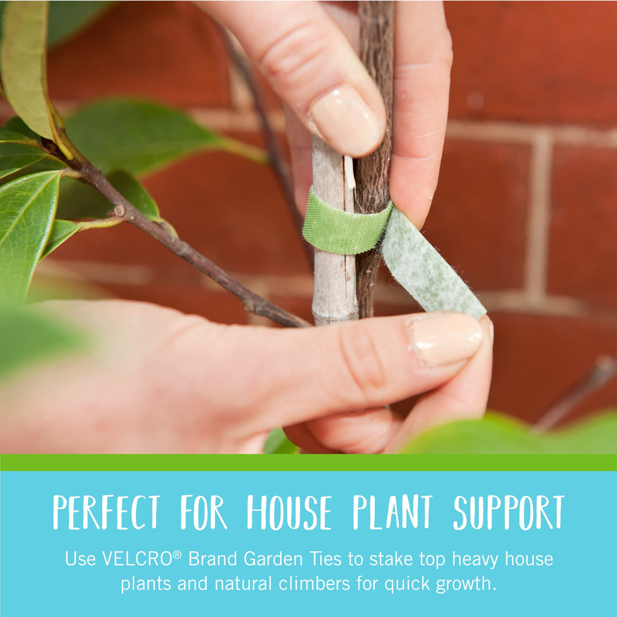 VELCRO Brand Adjustable Plant Ties, Green Garden Tape, 75 ft x 1/2 in Father Jim Norris notebooks