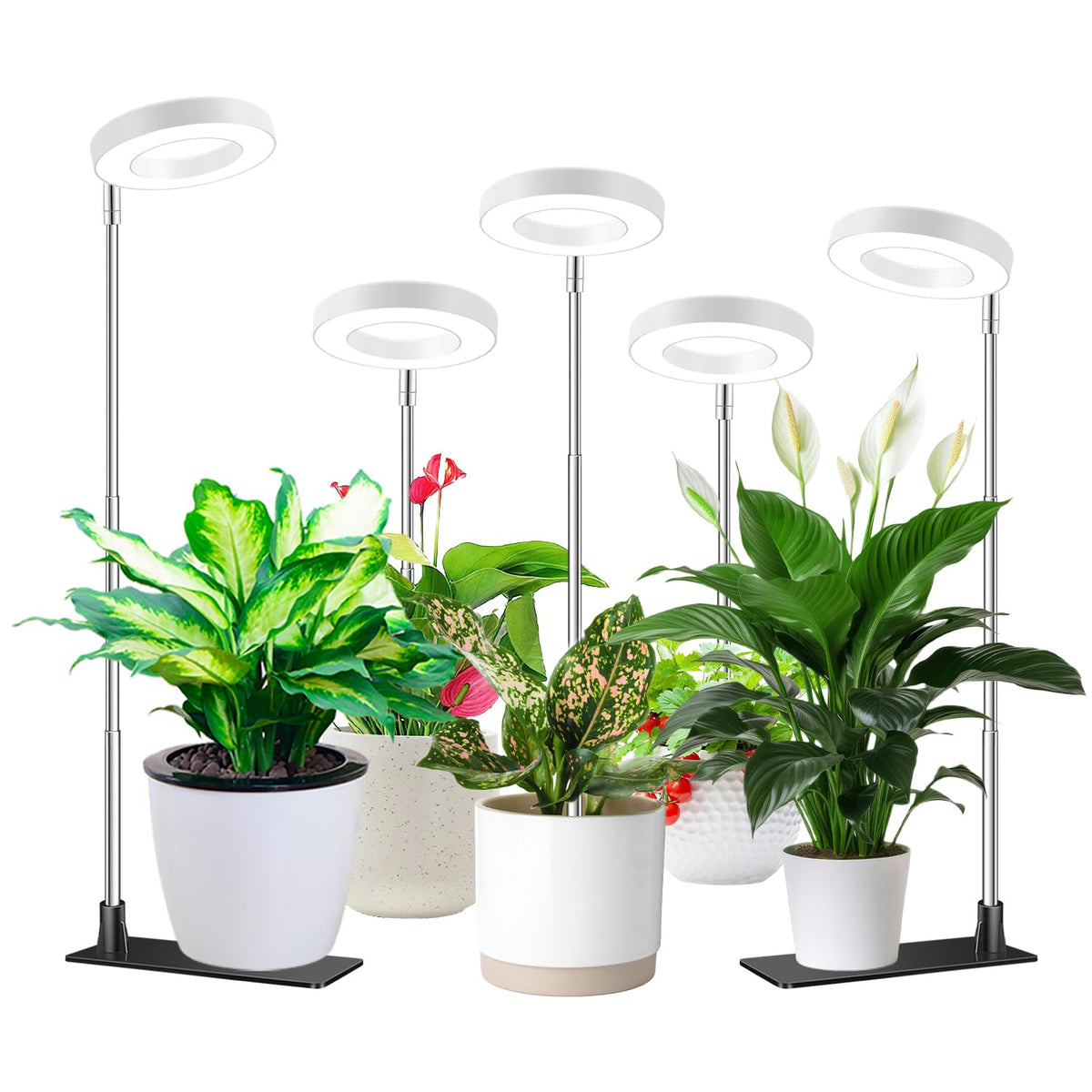 Aokrean Grow Lights for Indoor Plants Growing, Full Spectrum with Base Father Jim Norris notebooks