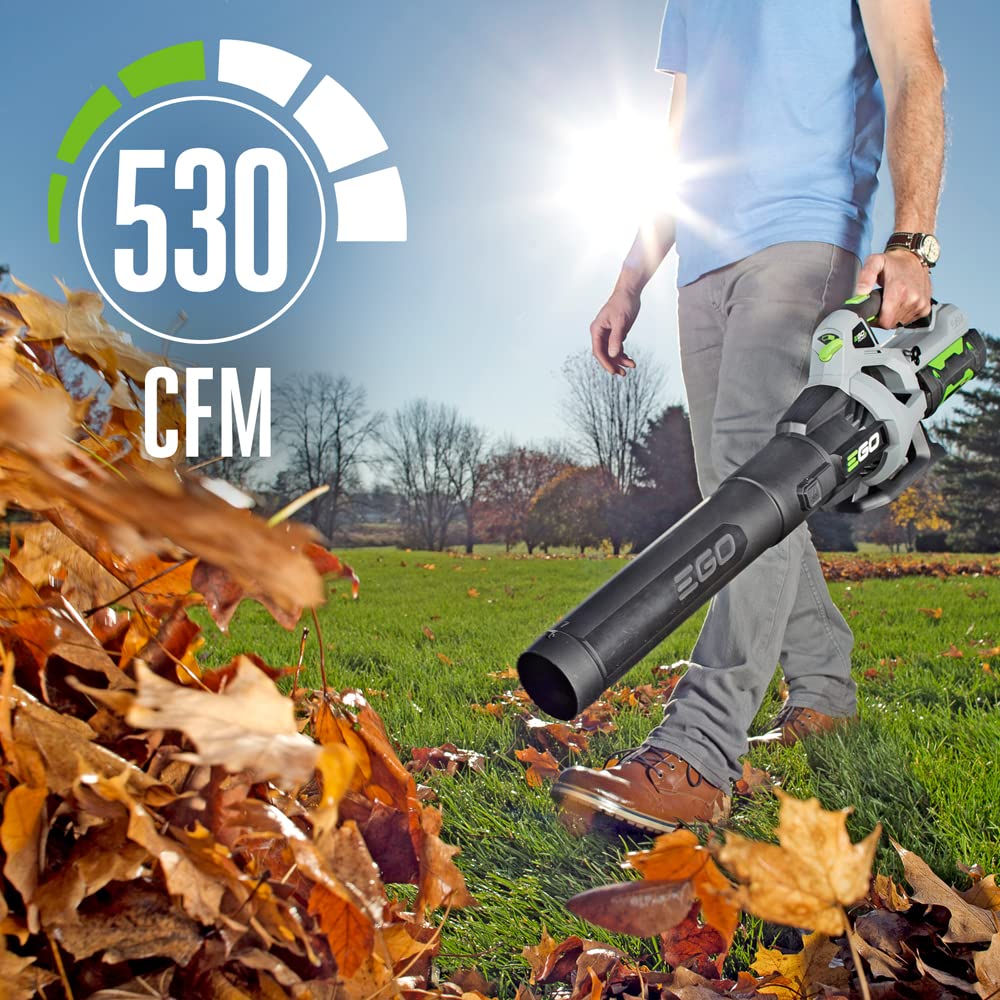 EGO POWER+ Cordless Electric Leaf Blower, 615 CFM, With Battery - LB6151 Father Jim Norris notebooks