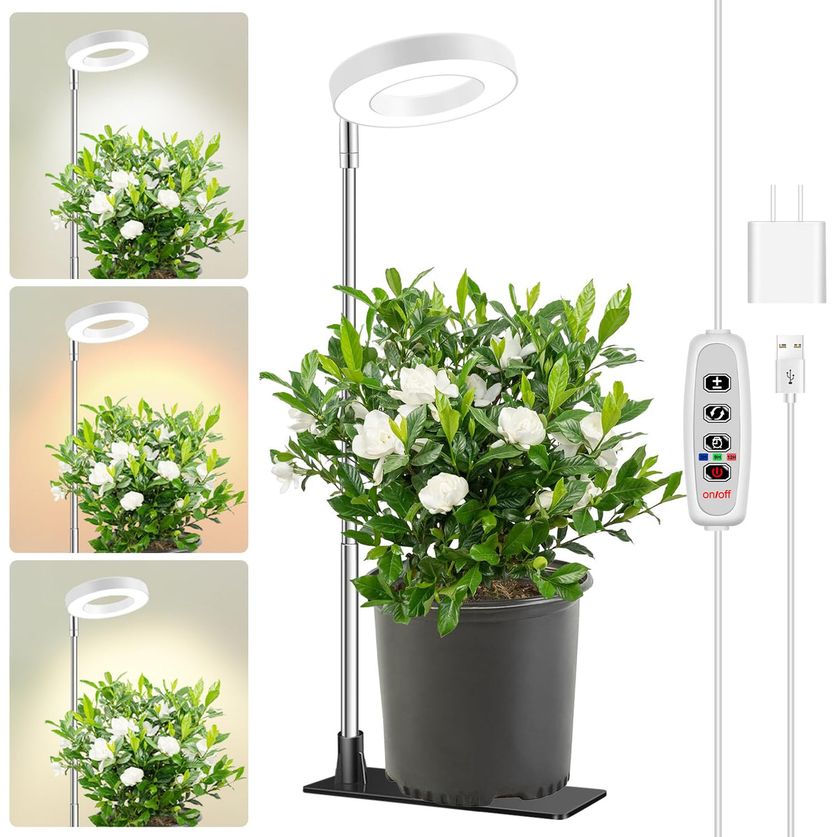 Aokrean Grow Lights for Indoor Plants Growing, Full Spectrum with Base Father Jim Norris notebooks