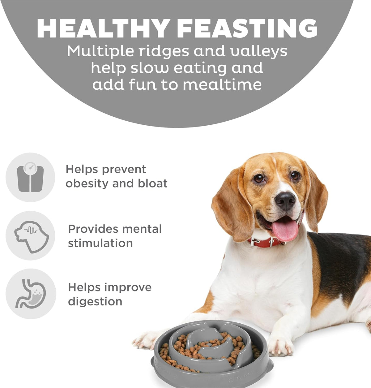 Outward Hound Fun Feeder Slo Bowl Dog Slow Feeder, Notch, Blue, 8.8"