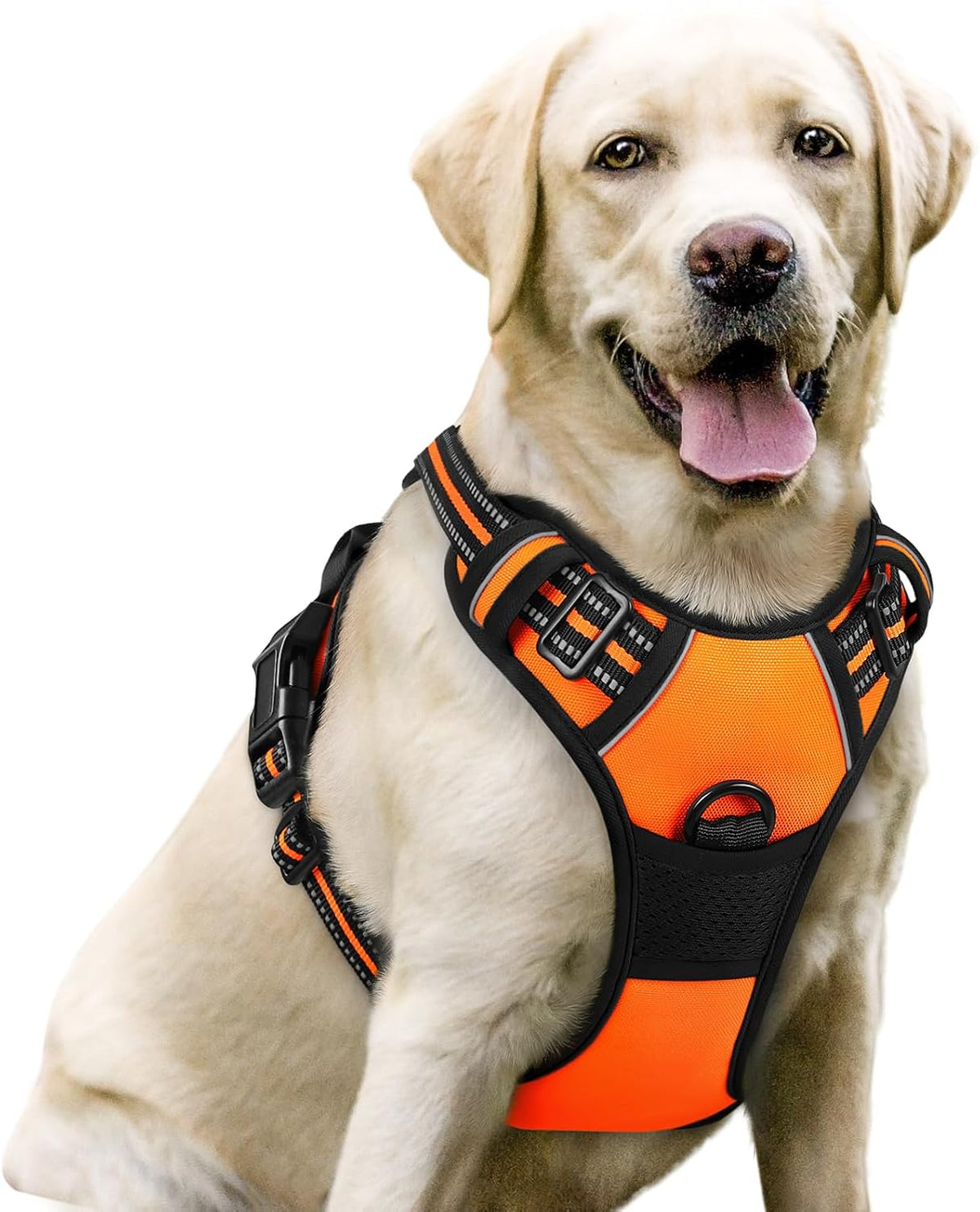 rabbitgoo Dog Harness, No Pull for Large Dogs with 2 Leash Clips, Pet Vest