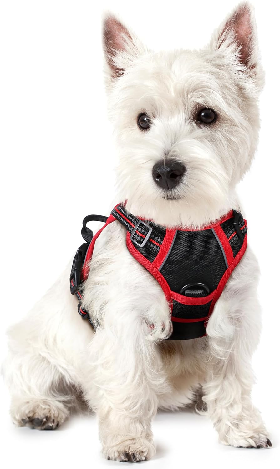 rabbitgoo Dog Harness, No Pull for Large Dogs with 2 Leash Clips, Pet Vest