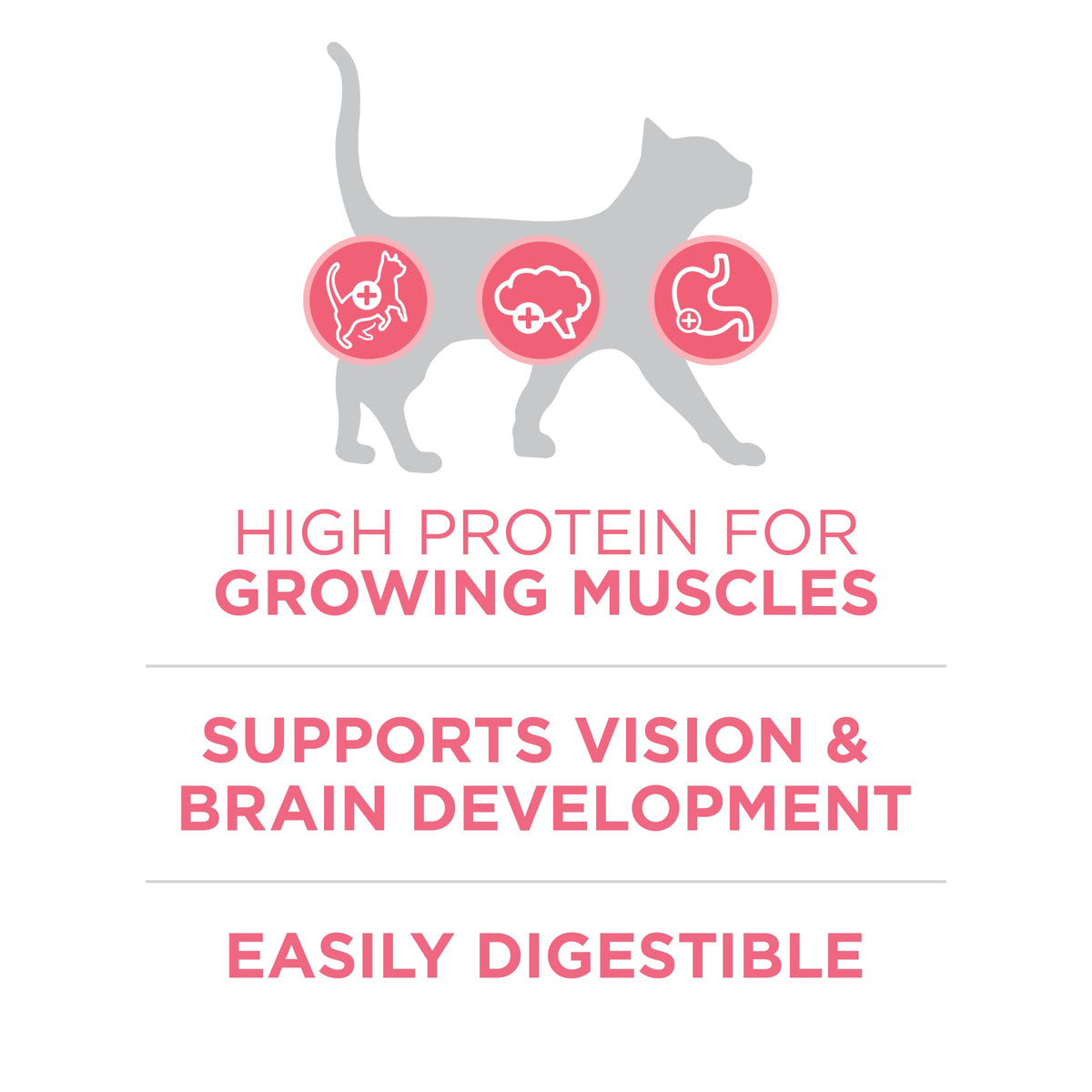 Purina ONE High Protein Natural Kitten Dry Cat Food, 7 lb Bag