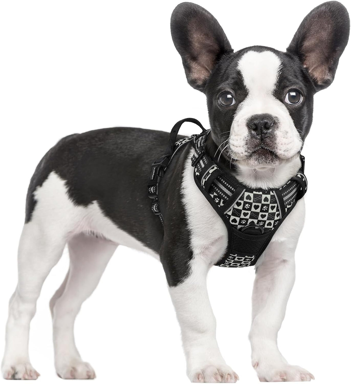 rabbitgoo Dog Harness, No Pull for Large Dogs with 2 Leash Clips, Pet Vest